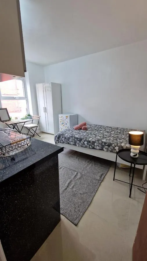 Small Cozy Studio Zone 1 לונדון דירה
