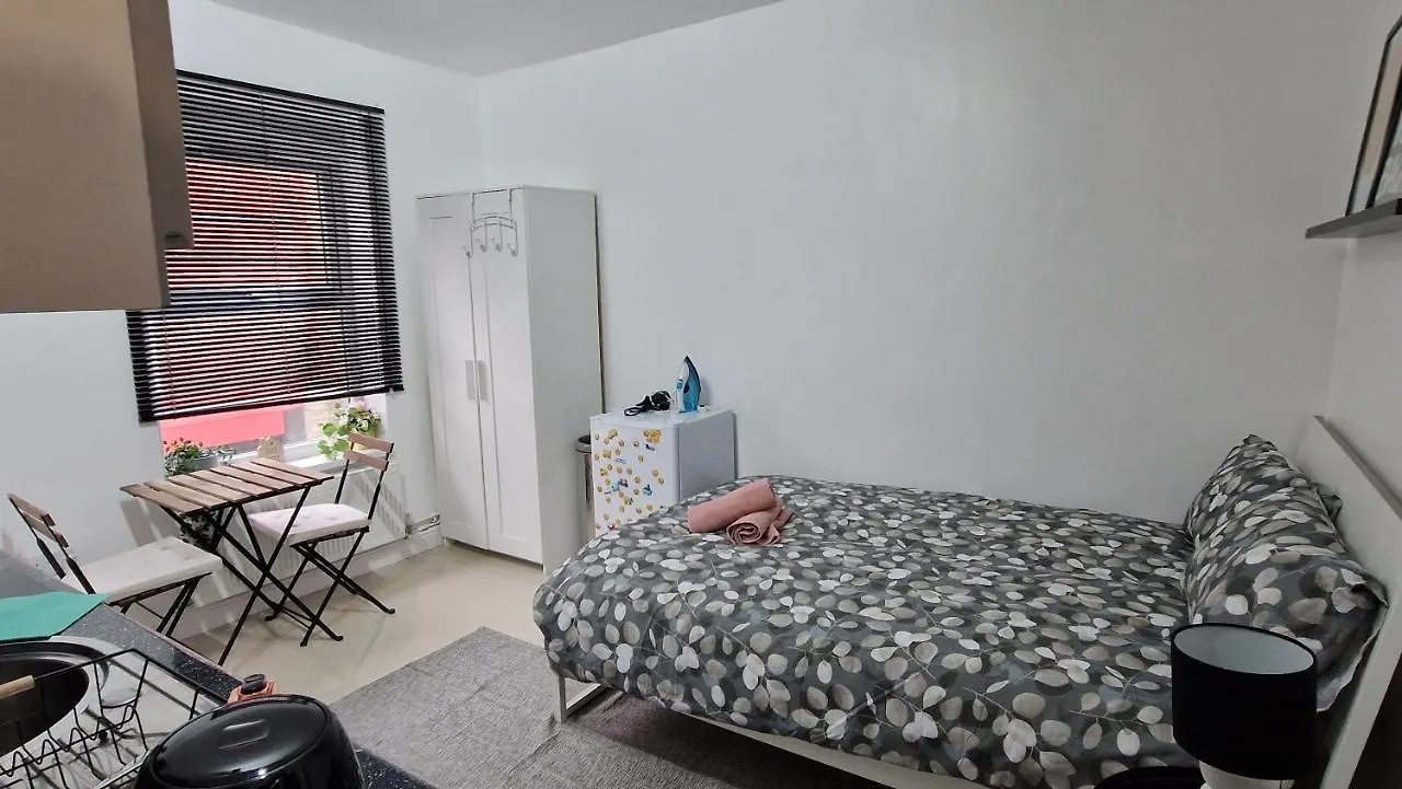 Small Cozy Studio Zone 1 London